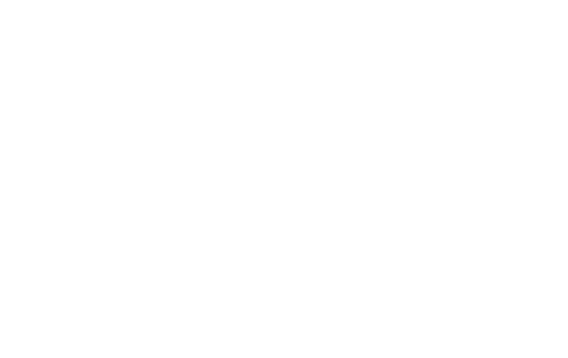 logo drewhinz